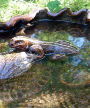 Eidechse im Vogelbad / Baukeramik Eidechse im Vogelbad